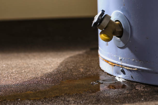 Best Flood restoration services  in Viola, NY