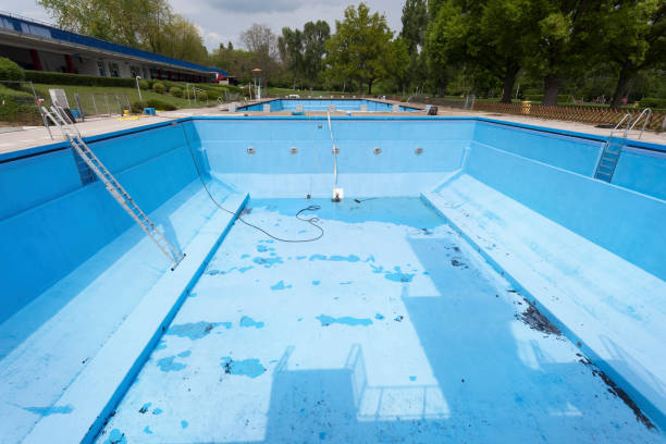 Best Water damage cleanup near me  in Viola, NY