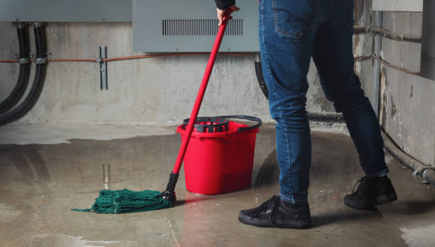 Best 24-hour water damage restoration  in Viola, NY