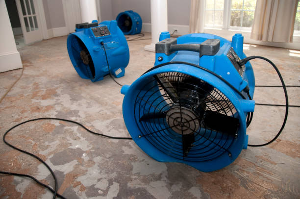 Best Water damage restoration near me  in Viola, NY