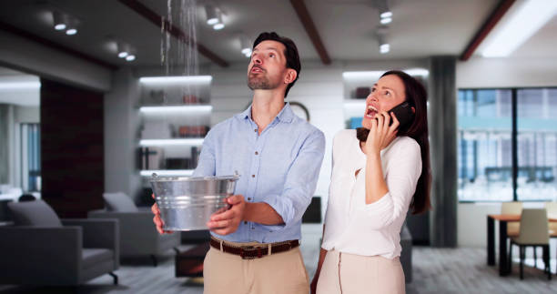 Best Water damage cleanup near me  in Viola, NY