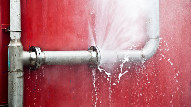 Best Commercial water damage restoration  in Viola, NY